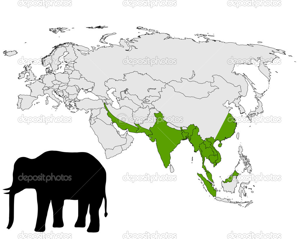 map of asian elephants        <h3 class=